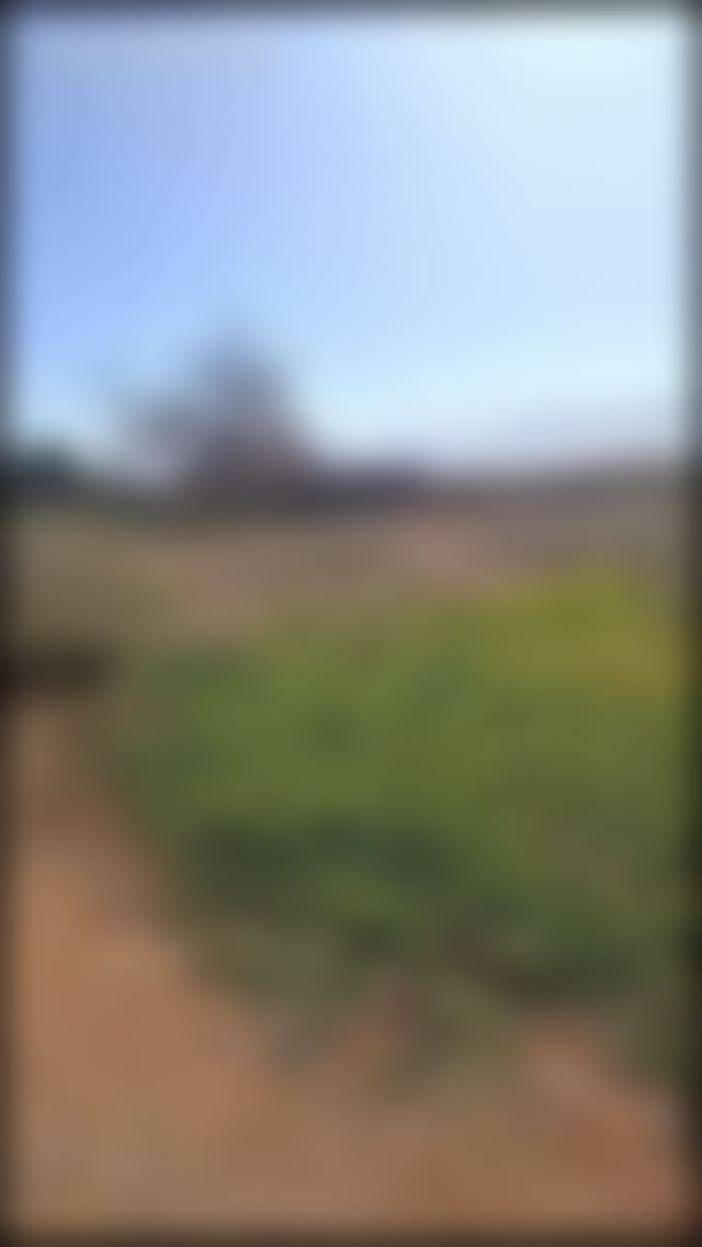 4-Hectare Plot with Atlas Mountain Views, Ourika Road, Marrakech — Marrakesh