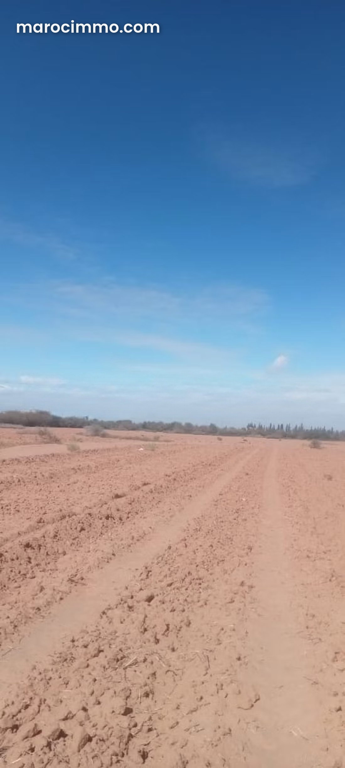 Terrain 12 000 m² à vendre, Tamazouzte, idéal projet — Tamazouzte