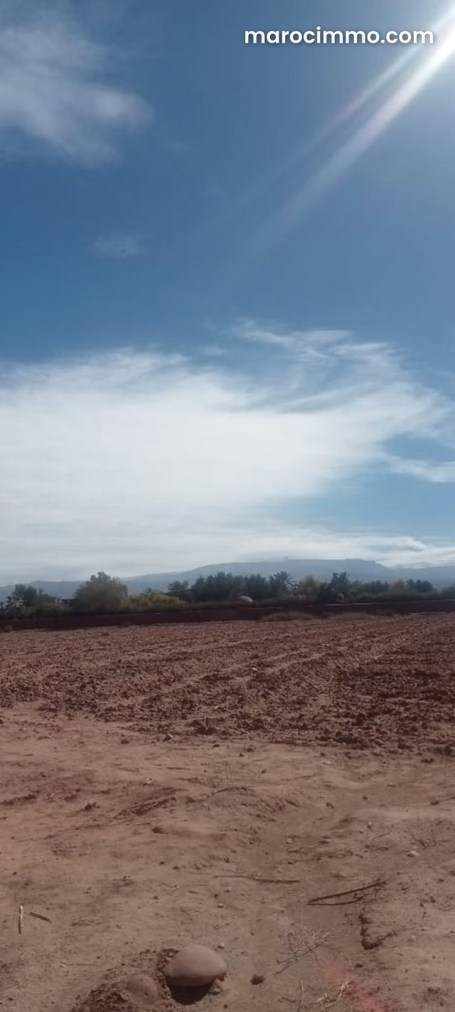 Terrain à la vente à Tamazouzte. Superficie 12000 m² — 2