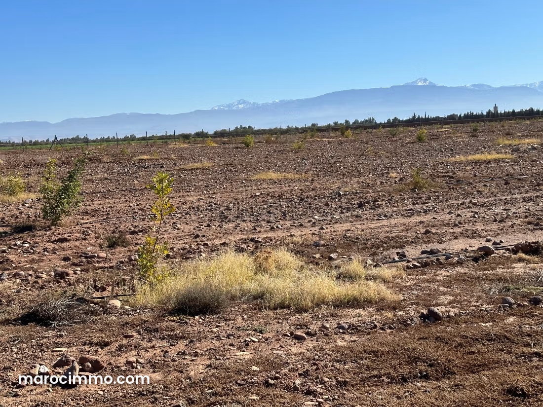 Terrain 10 500 m² à vendre, Sidi Abdallah Ghiat, route d'Ourika — Sidi Abdallah Ghiat