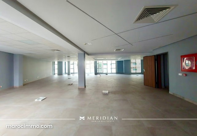 New & Modern Professional Building on Blvd — 2