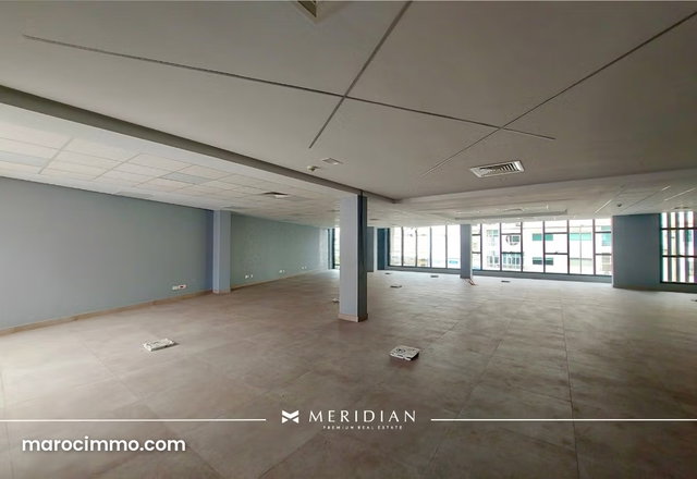 New & Modern Professional Building on Blvd — 4