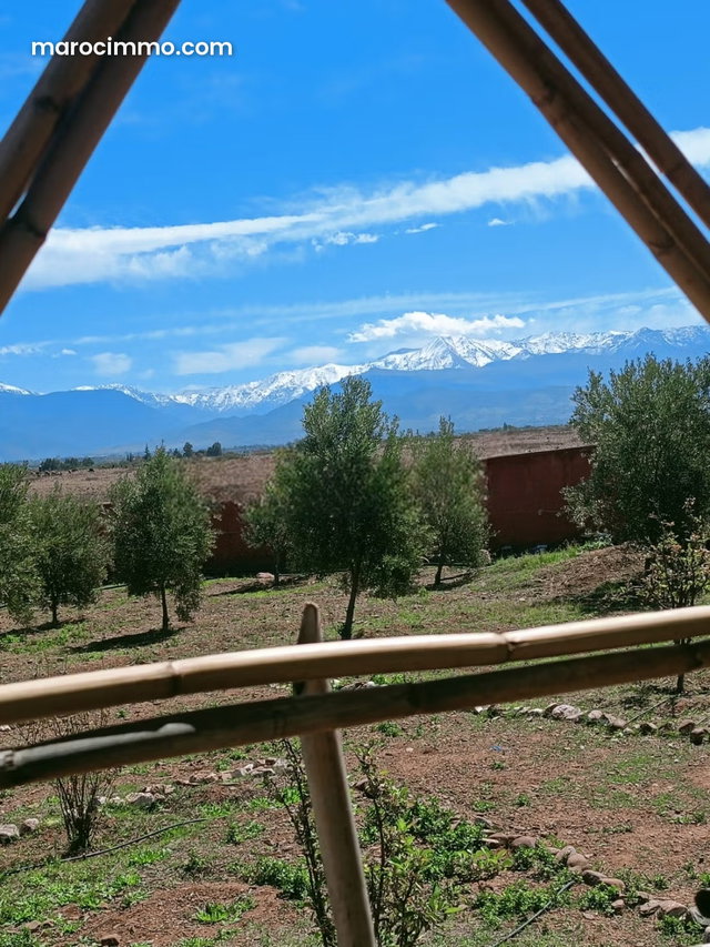 Ferme avec maison sur la route de l’ourika — 5