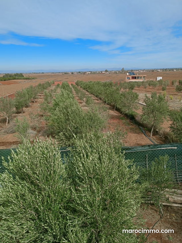 Ferme avec maison sur la route de l’ourika — 3