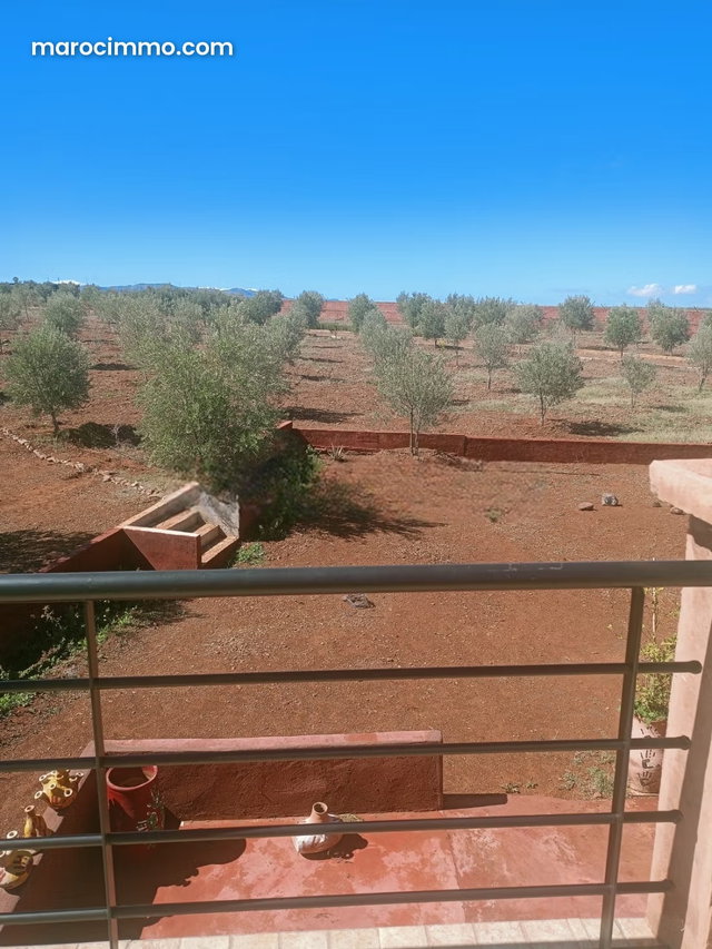 Ferme avec maison sur la route de l’ourika — 4