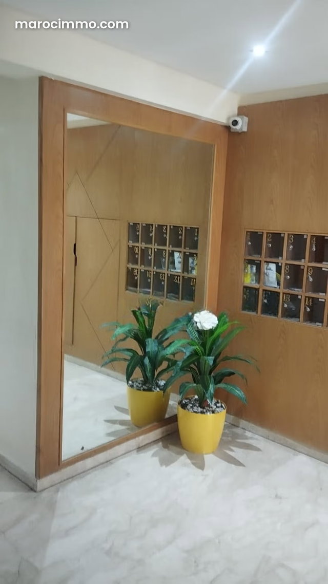Studio meublé à belvéder pour location — 3