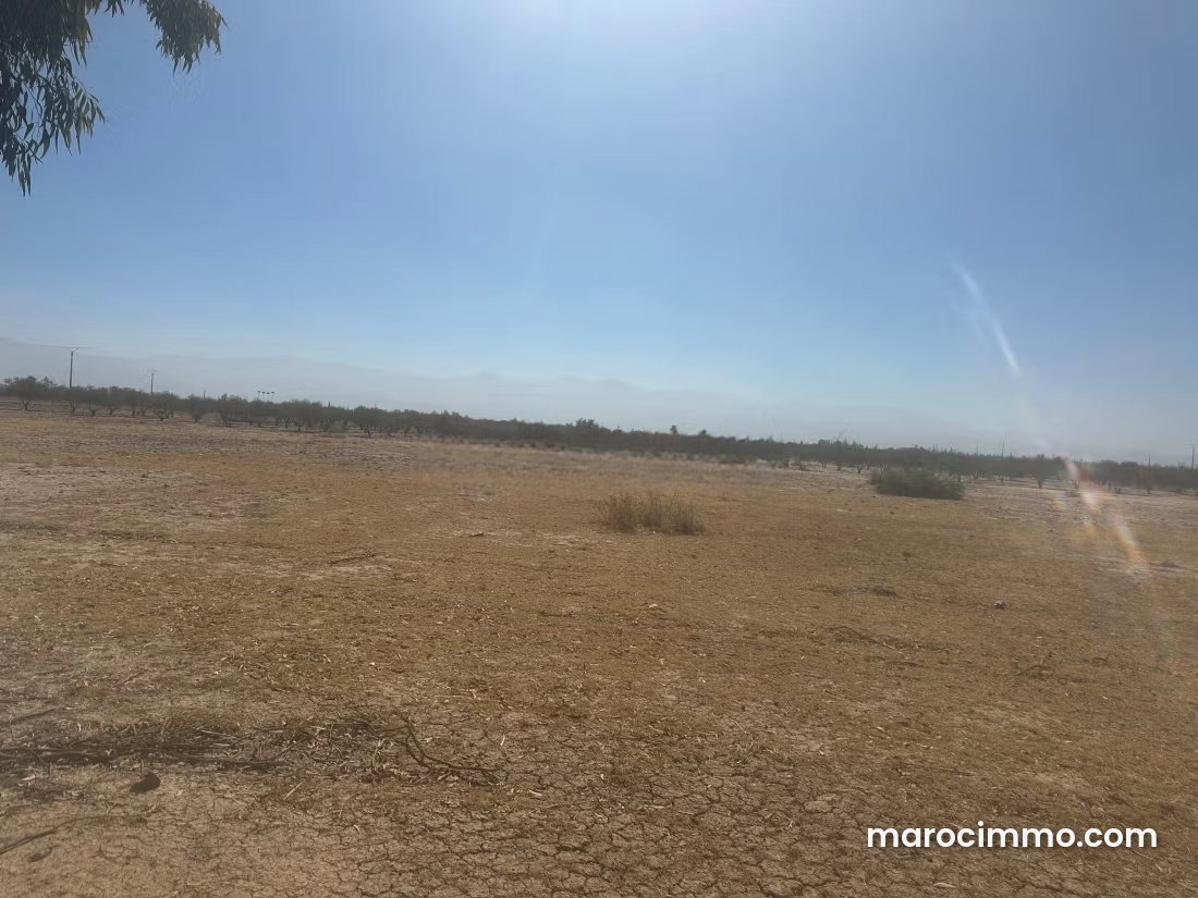 18-Hectare Plot of Land for Sale in Sidi Abdallah Ghiat — Sidi Abdallah Ghiat