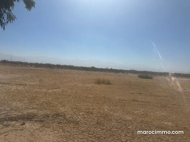 Beau terrain à la vente à Sidi Abdallah Ghiat. Superficie 180000 m² — Sidi Abdallah Ghiat