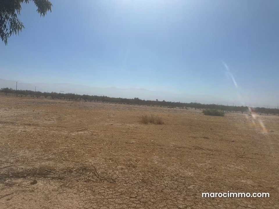 Beau terrain à la vente à Sidi Abdallah Ghiat. Superficie 180000 m²