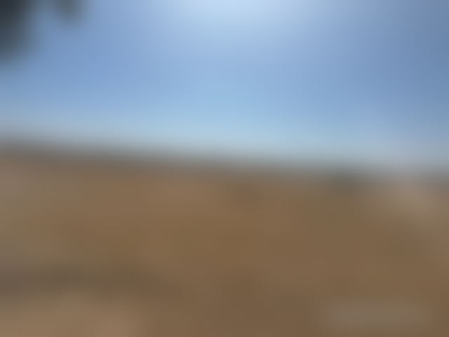 18-Hectare Plot of Land for Sale in Sidi Abdallah Ghiat — Sidi Abdallah Ghiat