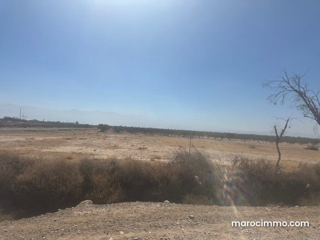 Beau terrain à la vente à Sidi Abdallah Ghiat. Superficie 180000 m² — 5
