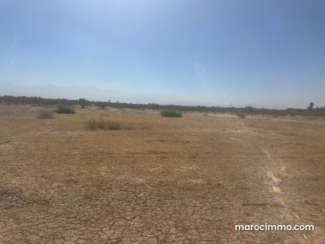 Beau terrain à la vente à Sidi Abdallah Ghiat. Superficie 180000 m² — 4