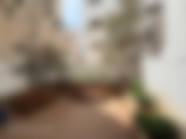 Appartement meublé 200 m², trois chambres, terrasse, Gauthier — 5
