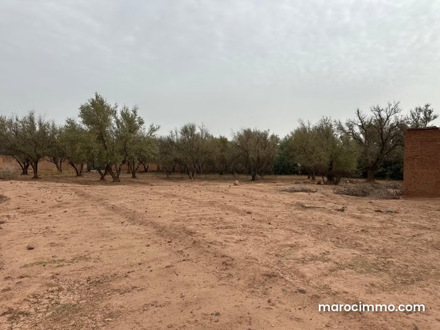 Terrain en vente à Sidi Abdallah Ghiat. Surface totale 3000 m² — 4