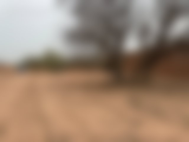 أرض 3000 م² للبيع في سيدي عبد الله غيات — 3