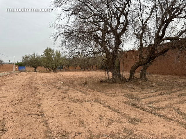 Terrain en vente à Sidi Abdallah Ghiat. Surface totale 3000 m² — 3