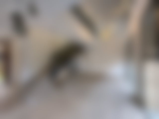 فيلا راقية مع مسبح على طريق أوريكة في مراكش — 4