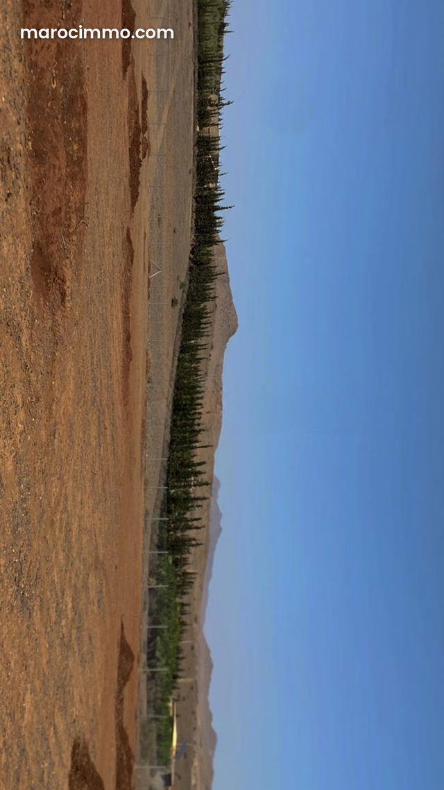 Vente terrain à Route Casablanca. Surface de 45000 m² — مراكش