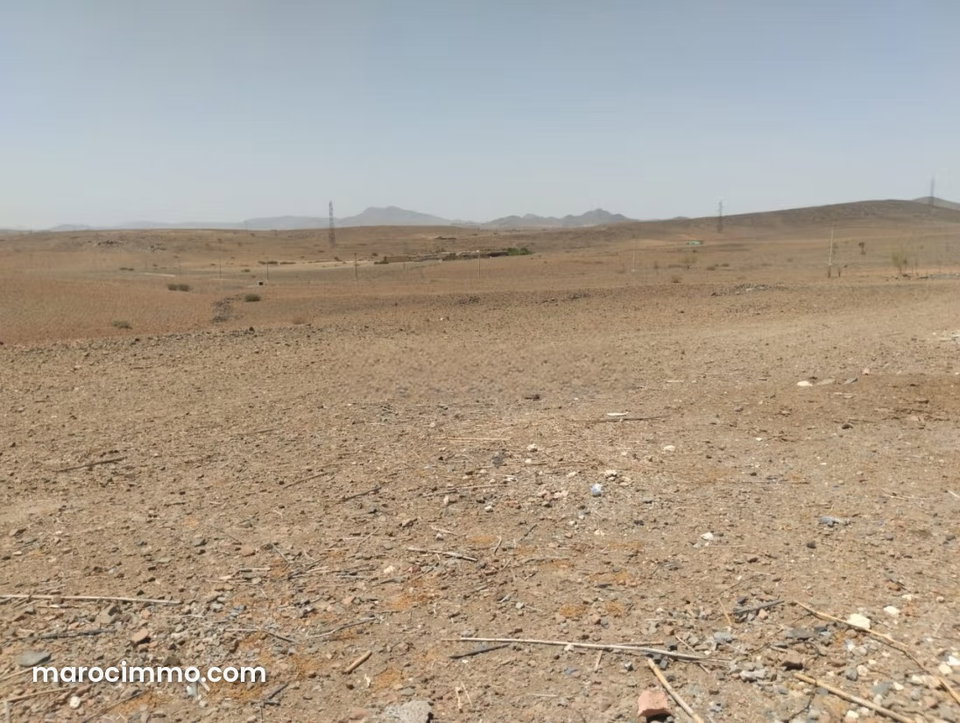 Terrain un hectare mlkiya km 23 bien situé