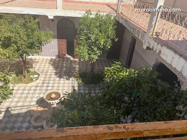 Un ancien Riad en ruine au cœur de la Palmeraie — 5