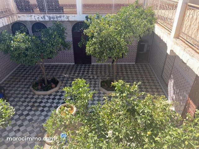 Un ancien Riad en ruine au cœur de la Palmeraie — 4