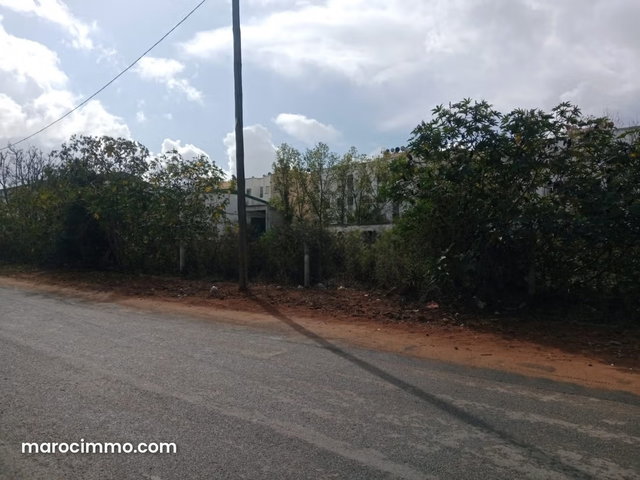 Beau terrain à la vente à Hay laayayda. Surface de 5000 m² — 3