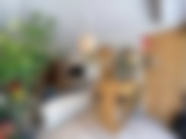 Grand appartement avec jardin à vendre à Dar Bouazza — 3