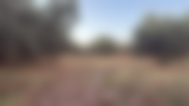 Terrain 2,4 hectares Route d'Ourika, Marrakech, vue Atlas — 3