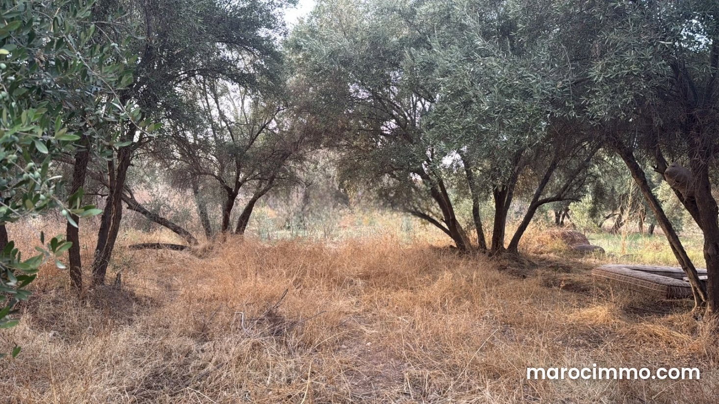 2.4-hectare plot on Ourika Road, Marrakech, Atlas views — Marrakesh