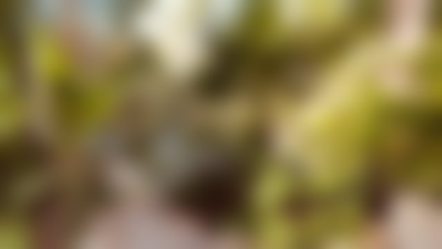 فيلا فاخرة بإطلالة على البحر للكراء في أنفا الدار البيضاء — 4