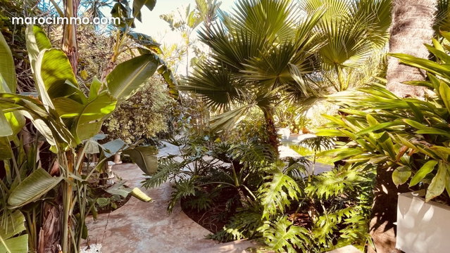Villa de haut standing à louer — 4