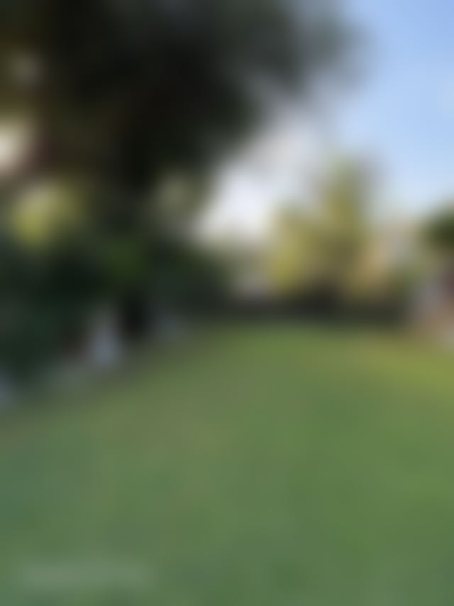 2,100 sq m Villa with Swimming Pool and Landscaped Garden, Anfa, Casablanca — Casablanca