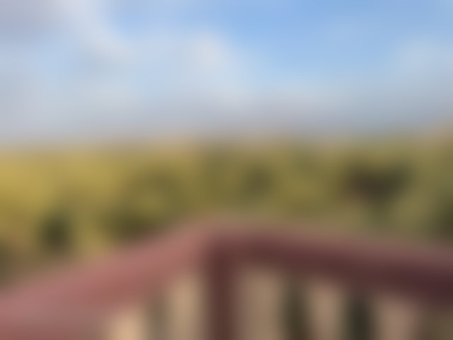 Maison avec jardin arboré à vendre Route d'Ourika Marrakech — 2