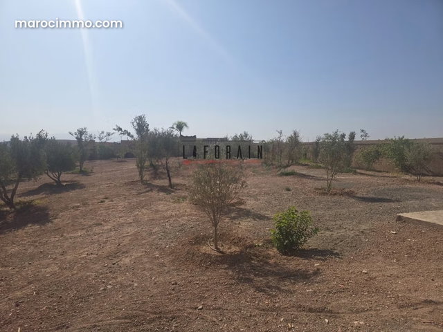 Villa semi finie de plain pied sur 1 hectare — 5