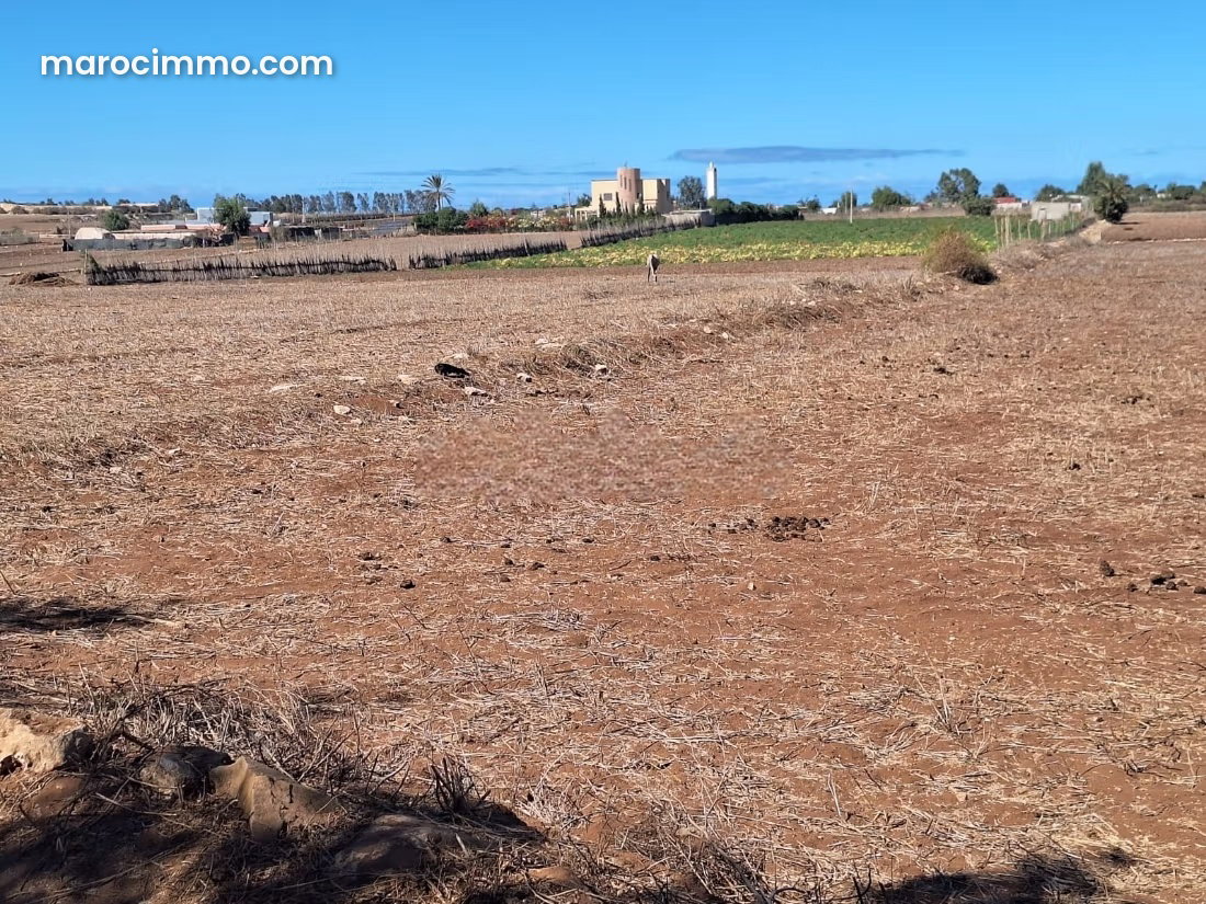 5,000 m² Building Plot in Bir Jdid, Buildable and Accessible — Bir Jdid