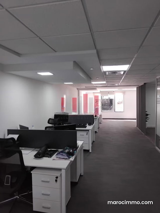 Furnished Office Space for Sale in Palmier — 4