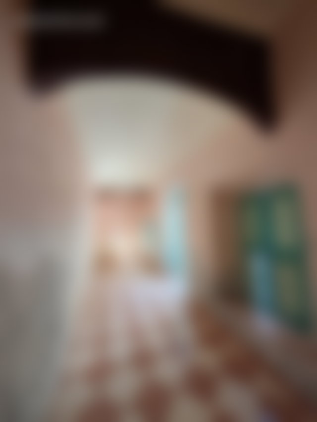 فرصة لترميم رياض أصيل في سيدي بن سليمان بمراكش — 5