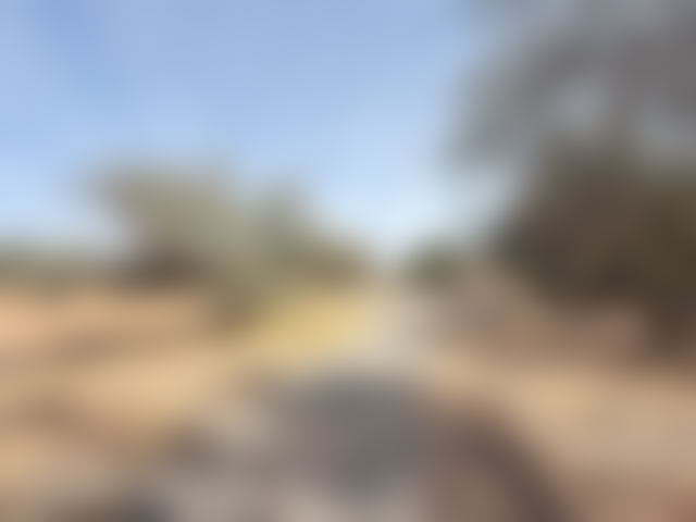 مزرعة 2 هكتار بستانية وآبار في باب غمات مراكش — مراكش