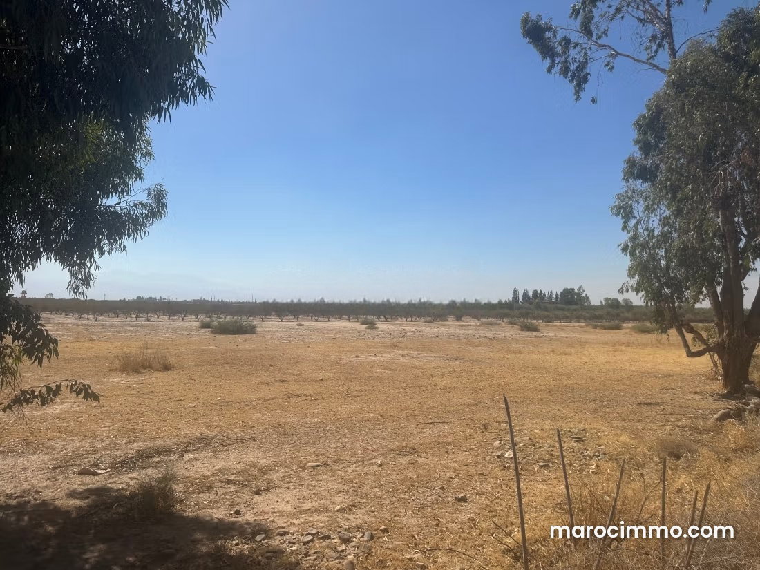 Terrain 200 000 m² à vendre à Sidi Abdallah Ghiat — Sidi Abdallah Ghiat