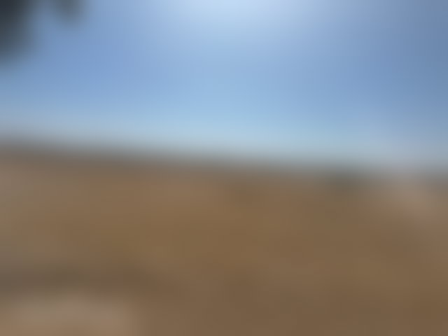 أرض شاسعة للبيع بسيدي عبد الله غيات — 3