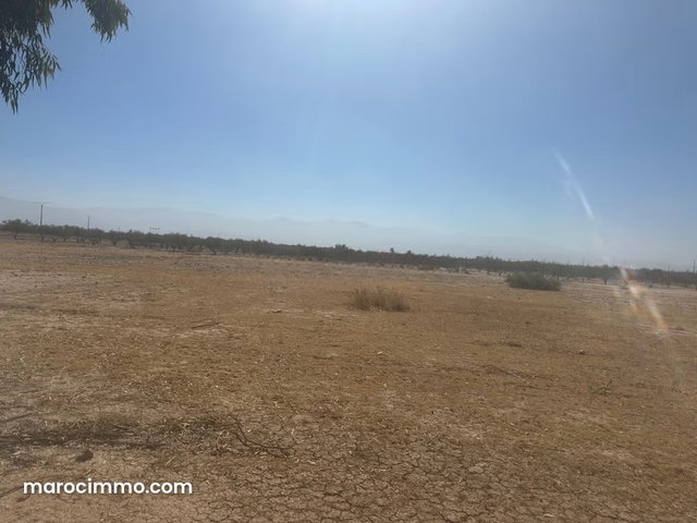 Terrain à la vente à Sidi Abdallah Ghiat. Surface de 200000 m² — 3