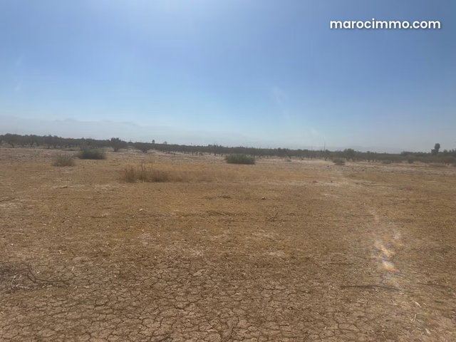 Terrain à la vente à Sidi Abdallah Ghiat. Surface de 200000 m² — 4