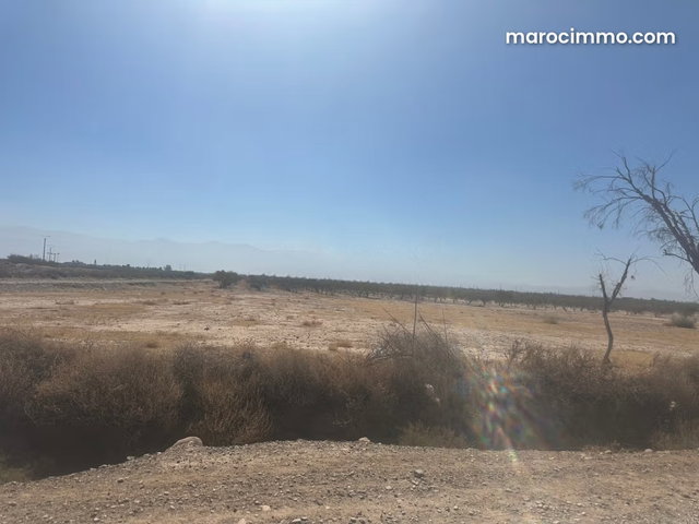 Terrain à la vente à Sidi Abdallah Ghiat. Surface de 200000 m² — 5