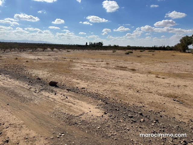 Terrain à vendre à Sidi Abdallah Ghiat. Surface de 200000 m² — 2