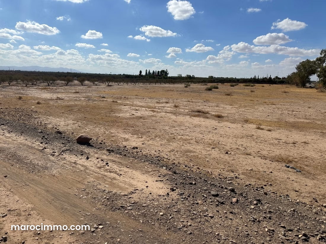 20-hectare plot for sale in Sidi Abdallah Ghiat — Sidi Abdallah Ghiat