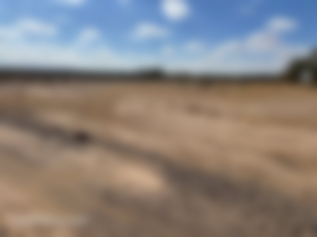 أرض شاسعة من 20 هكتار للبيع بسيدي عبد الله غيات