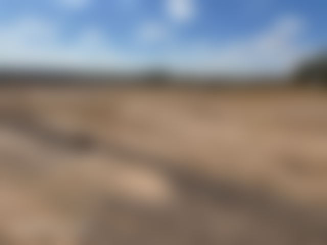 20-hectare plot for sale in Sidi Abdallah Ghiat — Sidi Abdallah Ghiat