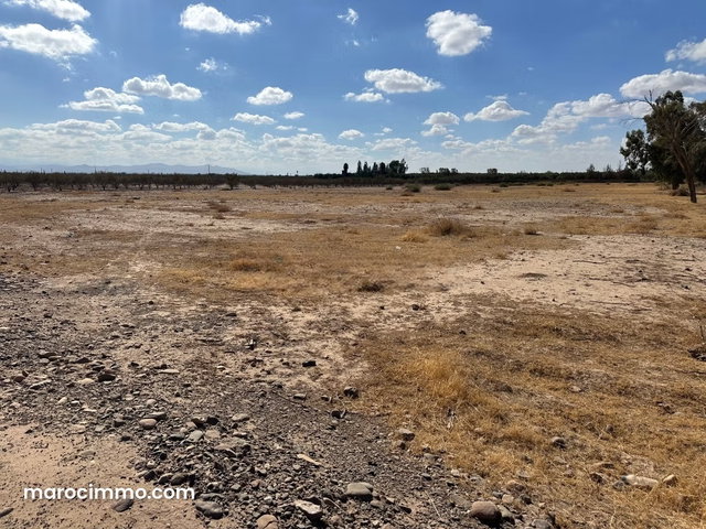 Terrain à vendre à Sidi Abdallah Ghiat. Surface de 200000 m² — 4