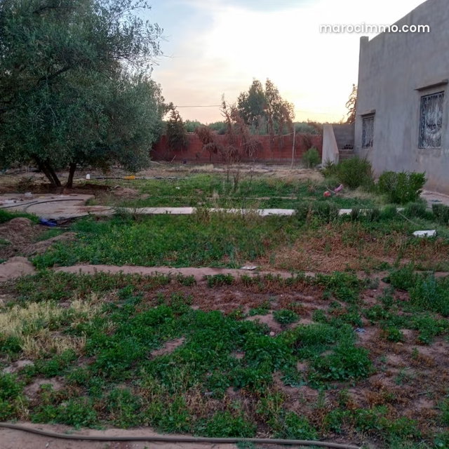 Beau terrain à la vente à Sidi Abdallah Ghiat. Surface totale 1614 m² — 3