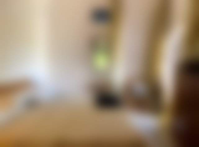 Villa agricole 9,3 ha avec oliveraie, Ghazoua, Essaouira — 5
